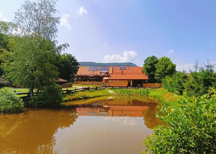 Apartment Gosciniec *